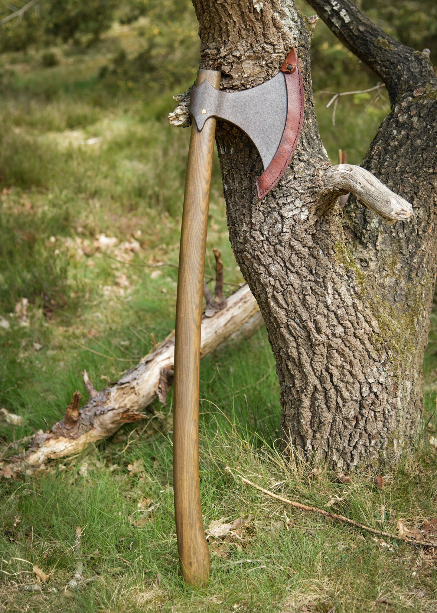 Hanwei Dänenaxt XH2099N – Geschmiedete Wikinger Langaxt (Dane Axe)