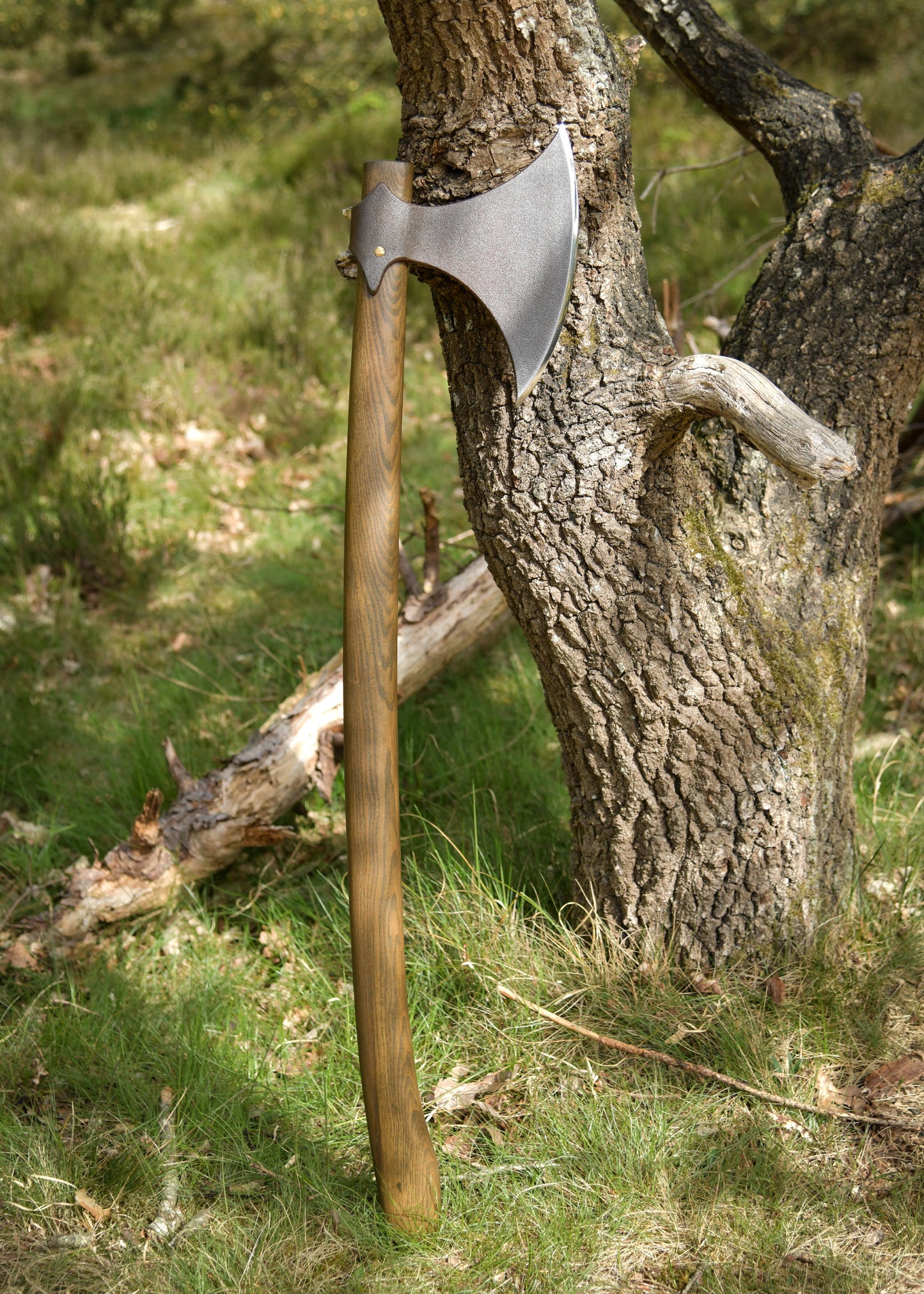 Hanwei Dänenaxt XH2099N – Geschmiedete Wikinger Langaxt (Dane Axe)